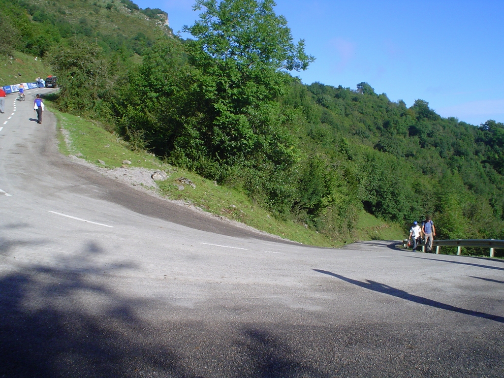 DSC08295.JPG